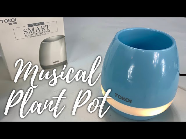 HAUT PARLEUR BLUETOOTH   MUSIC PLANTE