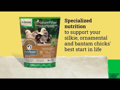 NatureWise® Silkie & Ornamental Chick Starter Grower 24% Micro Clean Crumb™
