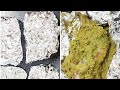 FOIL CHICKEN RECIPE Silver Chicken Recipe Surat RAMADAN RECIPE