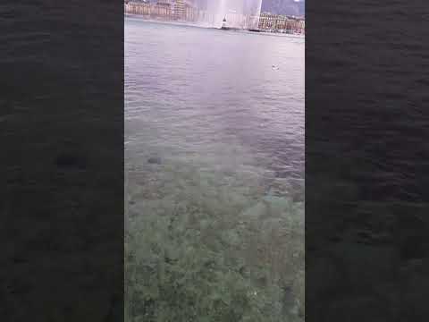 Découvrez la pureté de la nature 🏔️✨