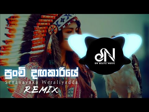 Punchi Dangakariye (DNBeats Remix)