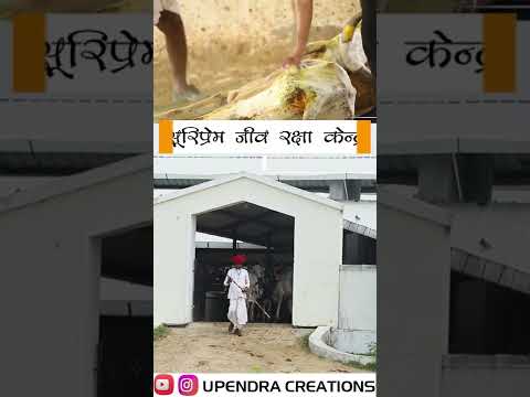 सूरि प्रेम जीव रक्षा केंद्र, परलाई, पिंडवाड़ा, राजस्थान।