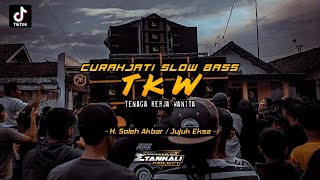 Download lagu DJ TKW TENAGA KERJA WANITA | Dangdut Slow Full Bass Viral || ETAN KALI Project Remix mp3