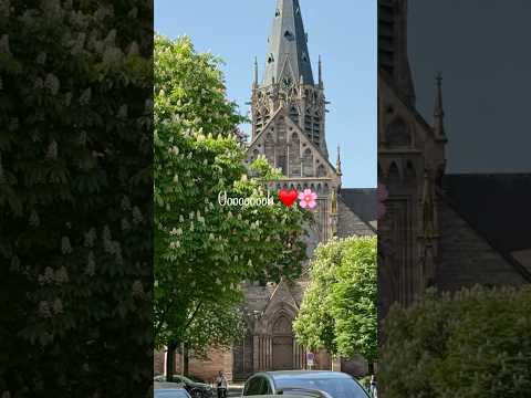 You can ask the flowers ♥️🌸