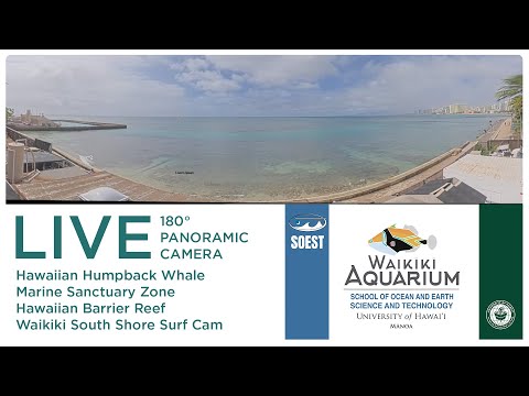 South Shore Surf Cam - Waikiki Aquarium thumbnail