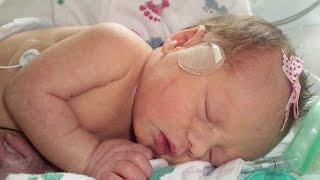 PAYTON&#39;S BIRTHDAY CELEBRATION SPECIAL!