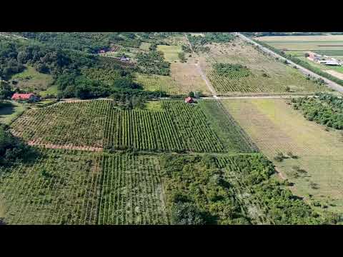 Teren extravilan, agricol, zona dealurilor Cuvin