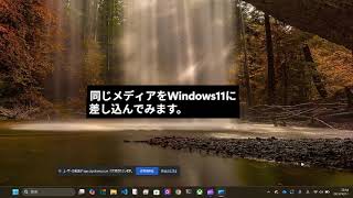 Windows11BUG20251017 #windows11 #bug