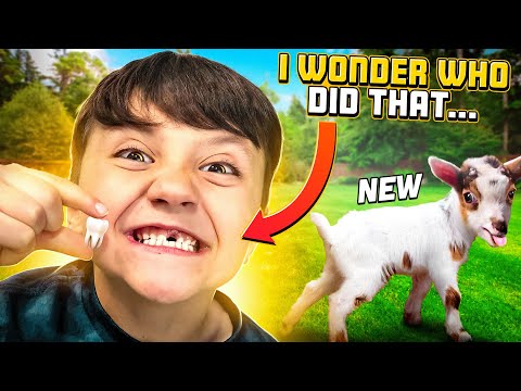 Got New Goats & then Shawn's TOOTH got PULLED out! 🦷🦶  (FV Family Farm Vlog)