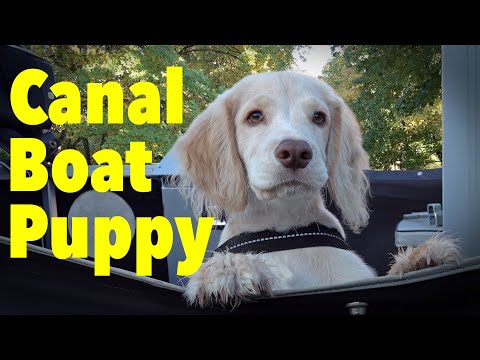 Puppy's Narrowboat Adventure on the Coventry Canal. Ep. 129.