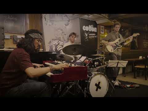 Organ Treeo -  A Wrong Version of "Caravan"