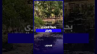 بحيرة لابريري بإفران   مياه ملوثة وانتقادات تطال تدبير الفضاء السياحي thumbnail
