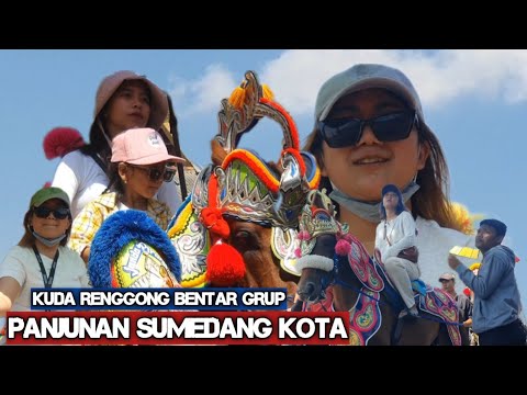 Dancing horses cause traffic jams - Dancing horse video