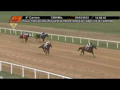 SINT MELO 230225 c04 1° WATCH THE DOG