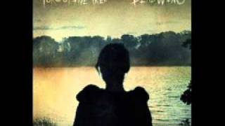 Porcupine Tree - Shallow (lyrics)