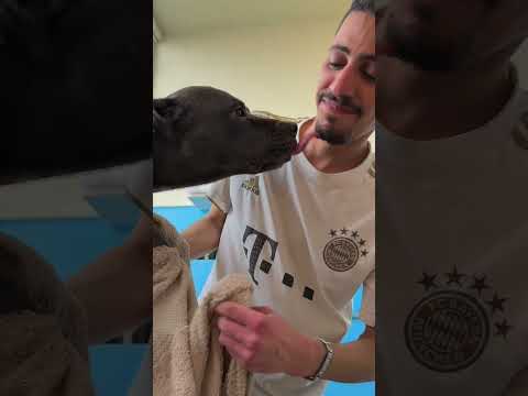 كم نعيماً يستاهل زورو🥹😍