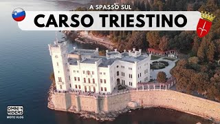 Video 17