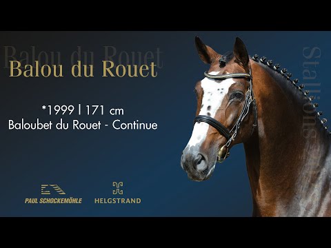 Balou du Rouet - Jumping Collection Schockemoehle & Helgstrand 2022 (ENG)