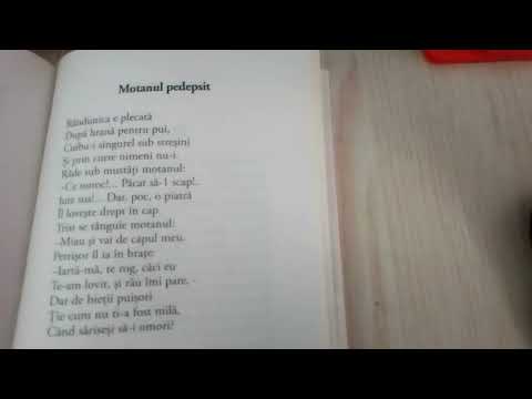 Motanul pedepsit de Elena Farago