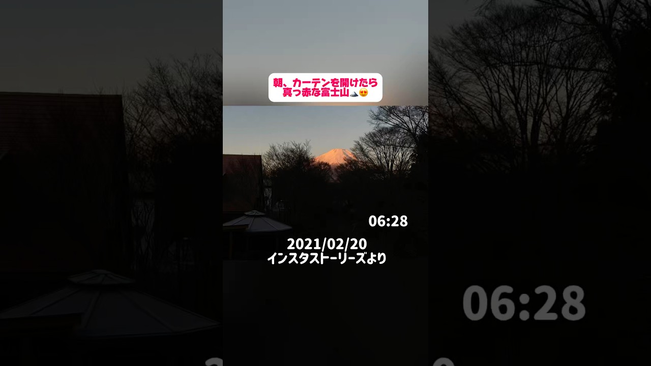 【過去のストーリーより】#愛犬#大型犬#プードル