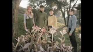 Star Trek - Once I Smiled