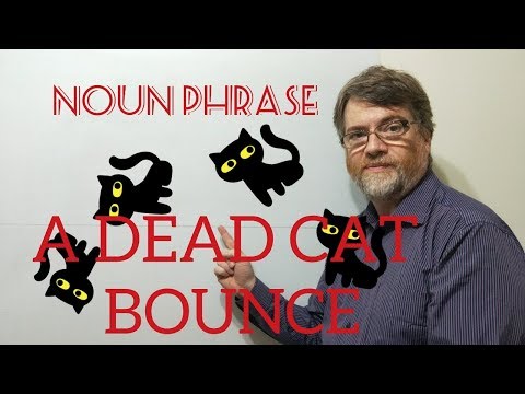 English Tutor Nick P Noun Phrase (161) A Dead Cat Bounce