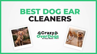 Best Dog Ear Cleaners - 2021 Buying Guide