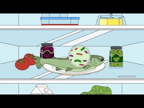 6  Hazard vs Risk - Bacteria animation