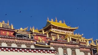 Video : China : SongZanLin Tibetan monastery, ShanGri-La, YunNan province