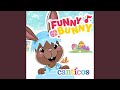 Funny Bunny