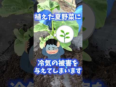 植物を雨から守る方法