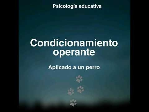 Condicionamiento Operante