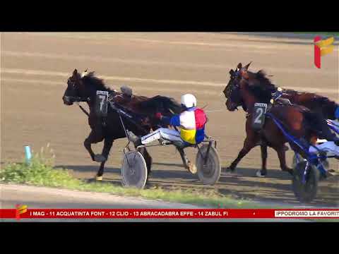 VI corsa del 18 marzo 2023 - 5 Anni ed oltre - Metri 1600