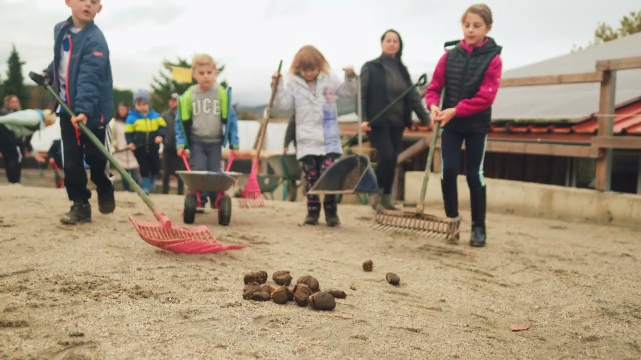 Landhaus zur Ohe Reiturlaub Hotelvideo