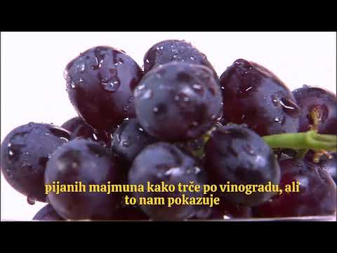 Alkohol i Biblija - činjenice a ne teorije i dogme!