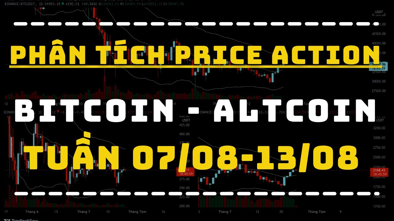 Phân Tích BITCOIN - ALTCOIN Theo Price Action Tuần 07-13/08