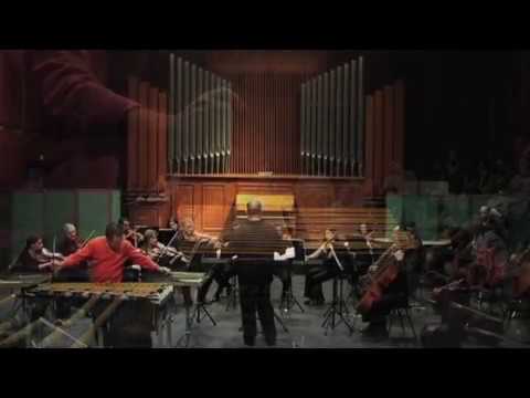 Concerto Pour Vibraphone et Orchestre à Cordes 1º Mouvement (Emmanuel Sejourné)