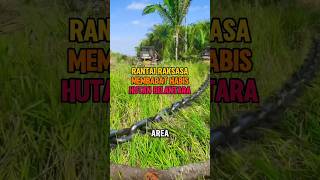 Download lagu There's a Giant in the Forest Cutting Down Trees #facts #unique #information mp3 Download lagu There's a Giant in the Forest Cutting Down Trees #facts #unique #information mp3