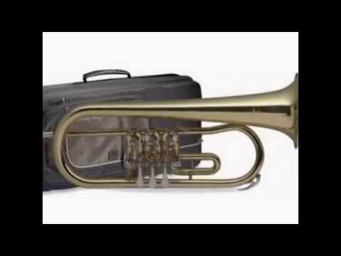 PLEH MUZIKA ZA SAHRANE 062-82-67-852 POZOVITE NAS