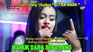 Download lagu MANUK DARA SEPASANG _ IKA BONITA || COVER TARLING TENGDUNG CITRA NADA mp3