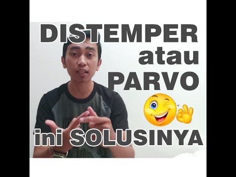 , title : 'Cara Mengatasi Musang DISTEMPER / PARVO'