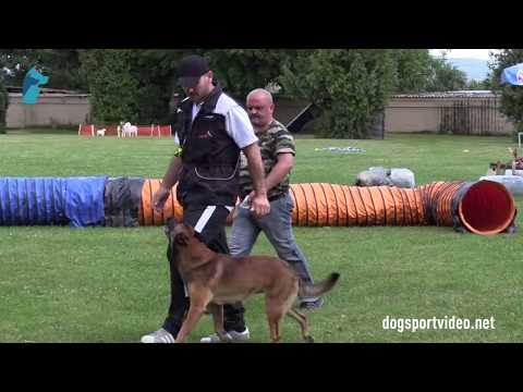 1. DMV Championat - Tom Andrykowski - Jackpot des Loups de Saint Benoit