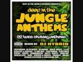 DJ Monk Deep in the Jungle LP Megamix The ...