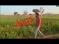 Film Style Vlogs Video Vlogs Status WhatsApp
