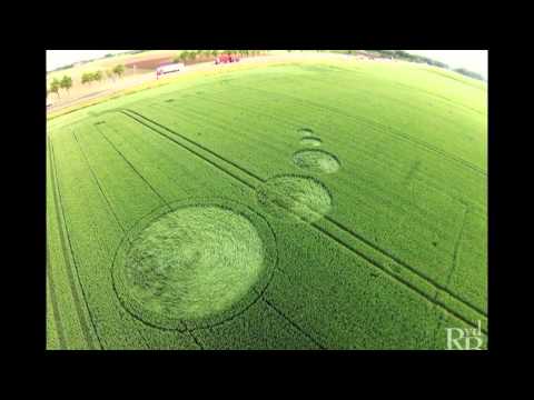 Crop circles 2014: Standdaarbuiten, Netherlands - 4 June