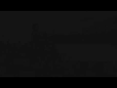 Dynasty - 2016 SCV Bassline 1