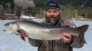 preview picture of video 'Giant Rainbow Trout Caught While Ice fishing in Pemberton BC Canada'