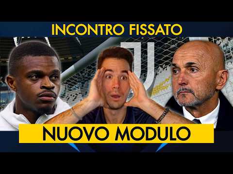 SPALLETTI IDEA GENIALE, MCKENNIE NUOVO RUOLO | SENESI ALLA JUVENTUS, PRESTO L’INCONTRO