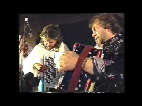 Dalakopa med venner -  Ringlender fra Engerdal