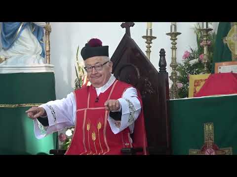 1798 - How to Work on PURPOSES. Examination of CONSCIENCE by Saint Ignatius of Loyola. Meditation